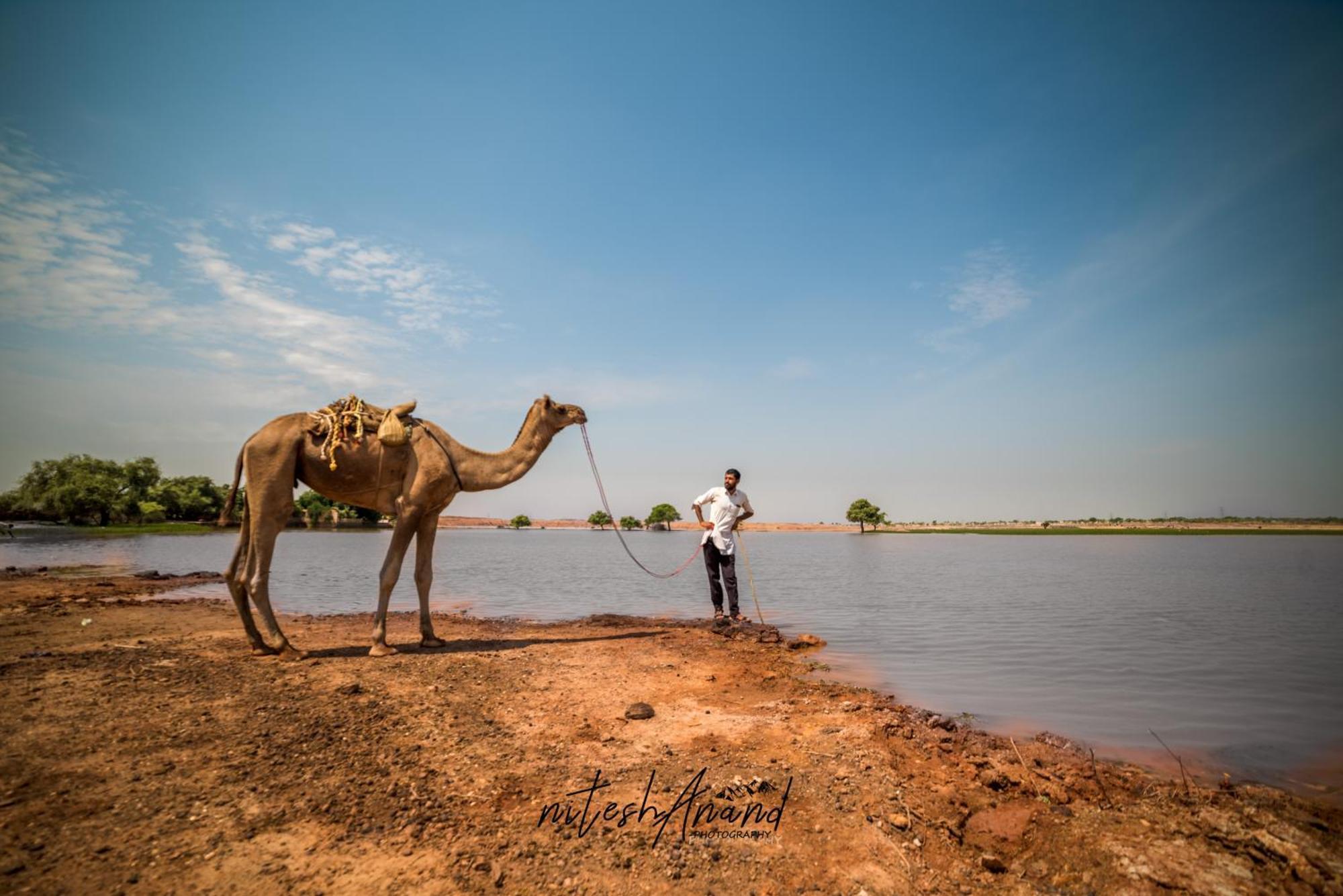 Hotel Vasudev Niwas ไจซัลเมอร์ ภายนอก รูปภาพ